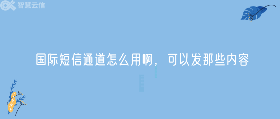 国际短信通道怎么用啊，可以发那些内容(图1)