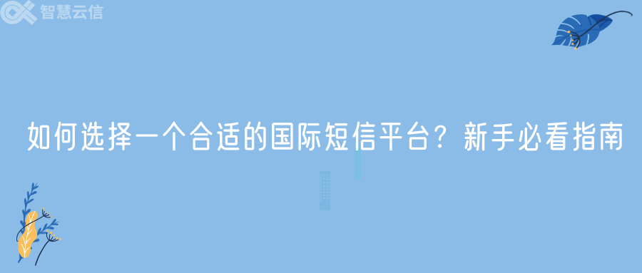 如何选择一个合适的国际短信平台？新手必看指南