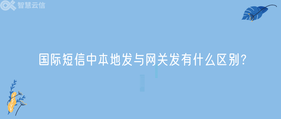 国际短信中本地发与网关发有什么区别？(图1)
