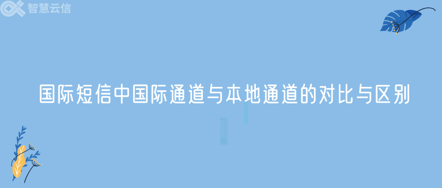 国际短信中国际通道与本地通道的对比与区别(图1) 国际短信中国际通道与本地通道的对比与区别(图1)