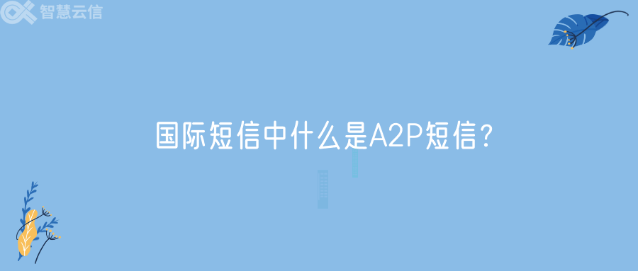 国际短信中什么是A2P短信？(图1)